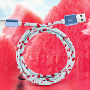 Creative data cable cartoon fruit cute fruit leather data cable suitable for Apple and Huawei phones